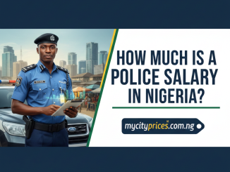 Police Salary in Nigeria