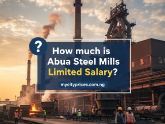 Abuja steel mills limited Salary