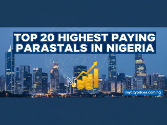highest paying Parastatals