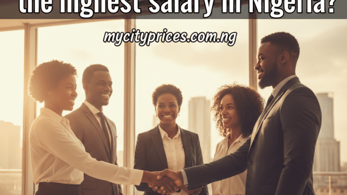 Which organization pays the highest salary in Nigeria?